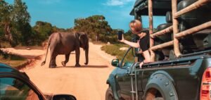 Read more about the article $6 Billion UAE Investment to Transform Africa’s Tourism Sector